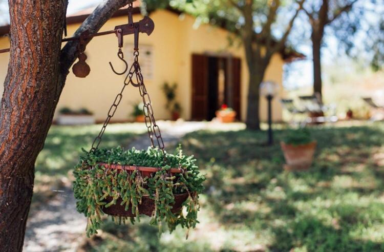 Agriturismo La Sorgente Фонтебланда Экстерьер фото