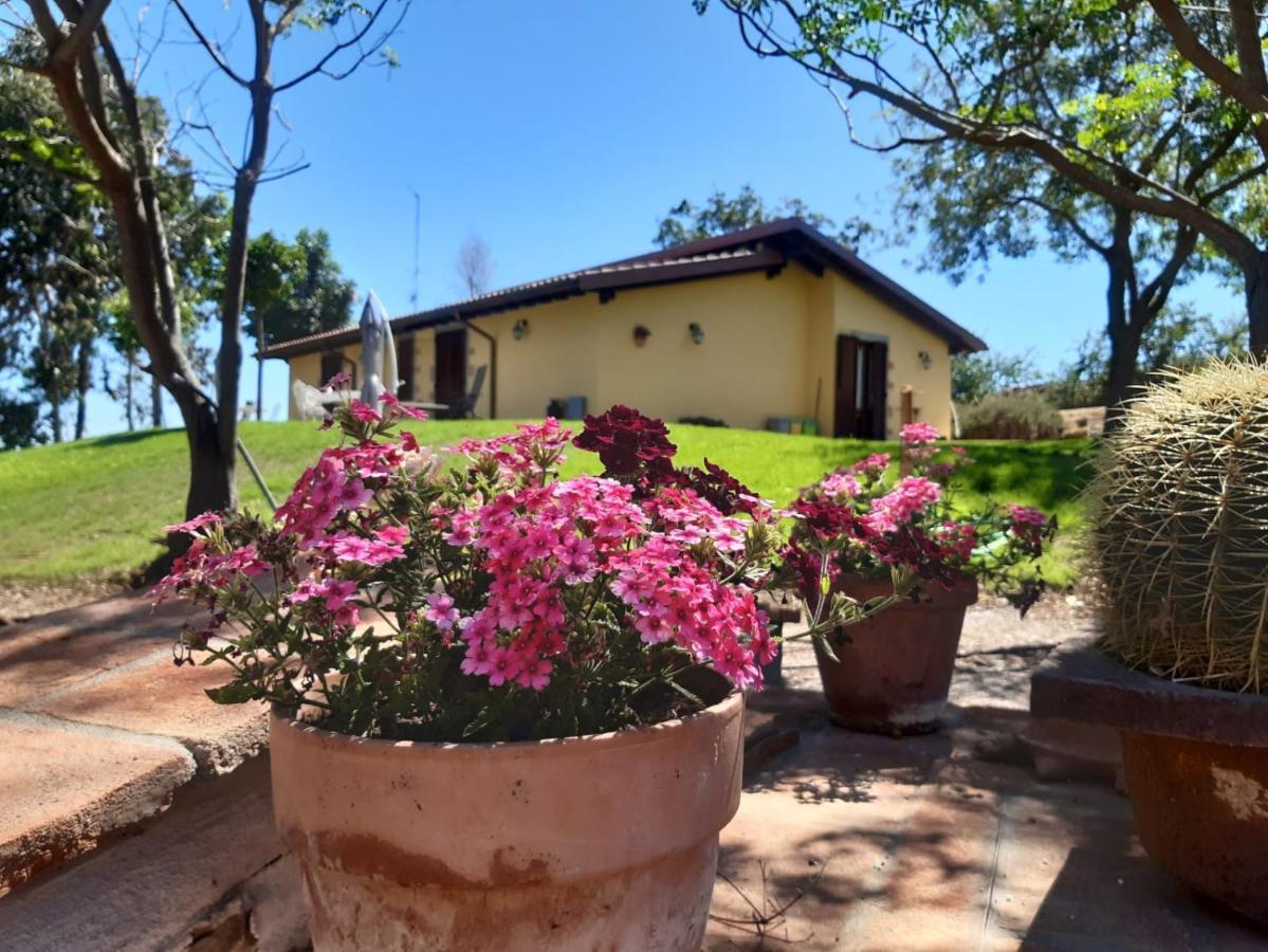 Agriturismo La Sorgente Фонтебланда Экстерьер фото