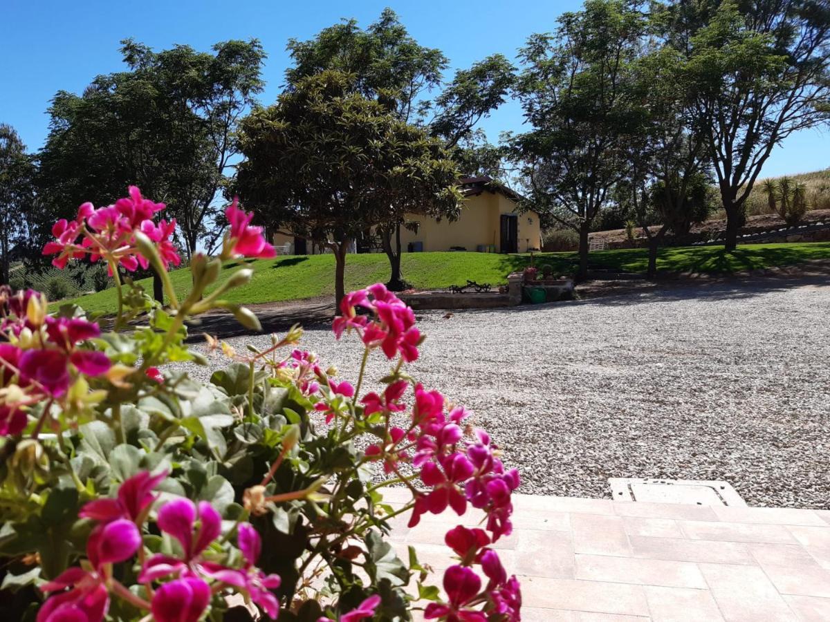 Agriturismo La Sorgente Фонтебланда Экстерьер фото