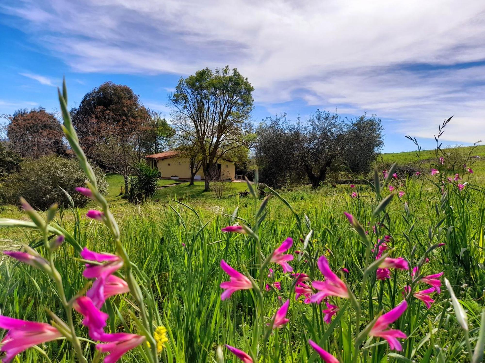 Agriturismo La Sorgente Фонтебланда Экстерьер фото