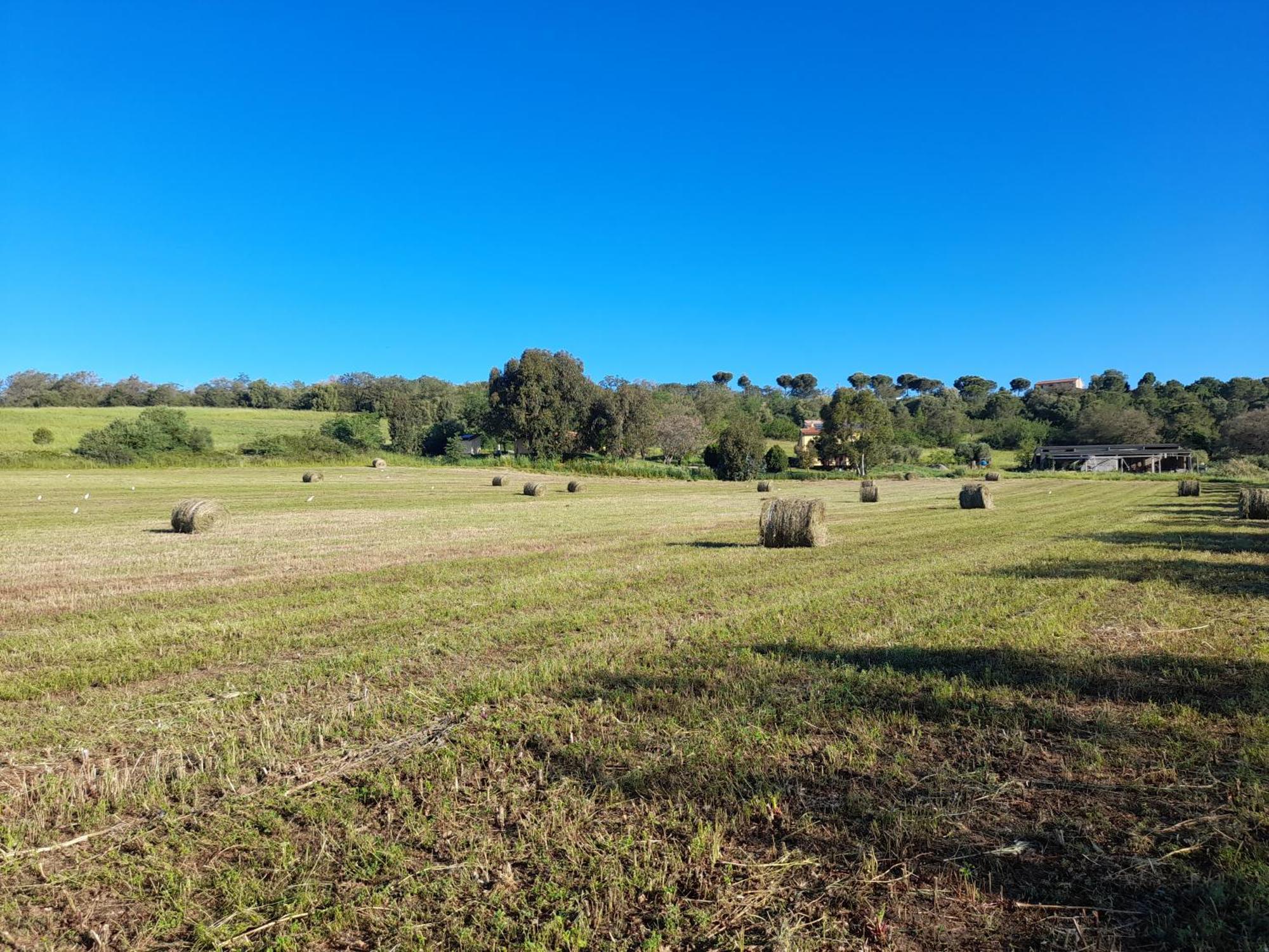 Agriturismo La Sorgente Фонтебланда Экстерьер фото